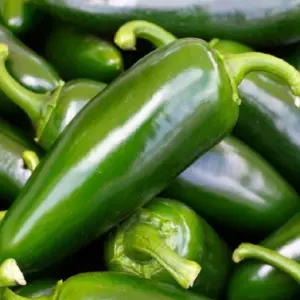 Tam Jalapeno Pepper Seeds – Non-GMO & Heirloom – 25 Seeds – Outdoor - Image 1